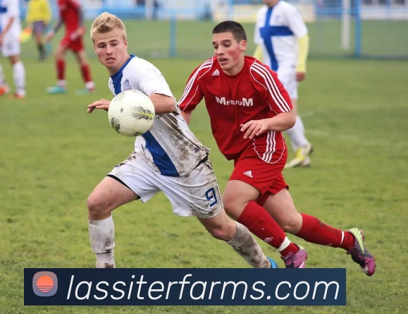 爱游戏(ayx)体育官方网站APP 体育赛事宣传图